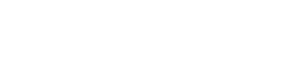 Dealers Market